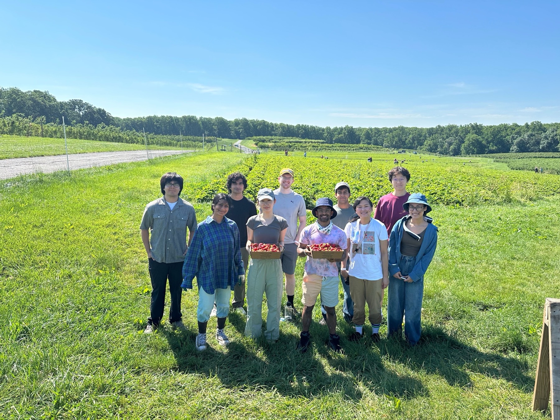 Lab members standing together in a strawberry field.